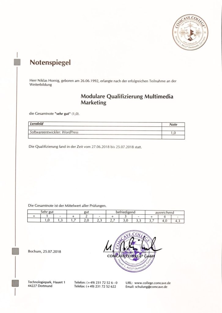 Softwareentwickler WordPress Niklas Hornig Deine-internetseite.com